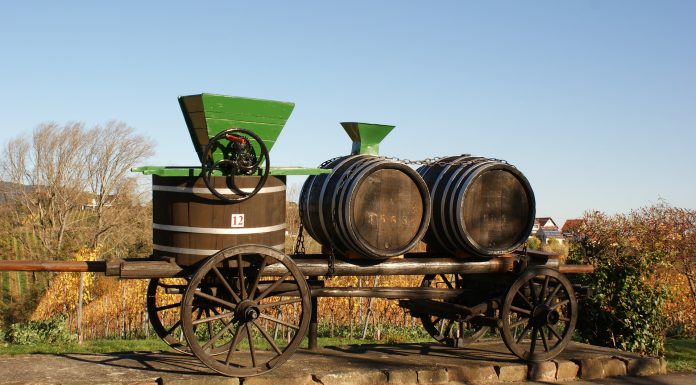Una máquina para prensar el vino